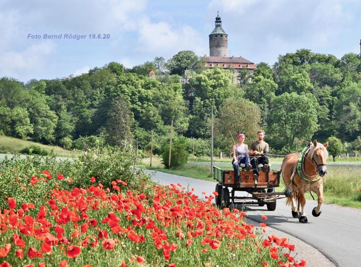 Pension Gruenes Herz Tonndorf Eksteriør bilde